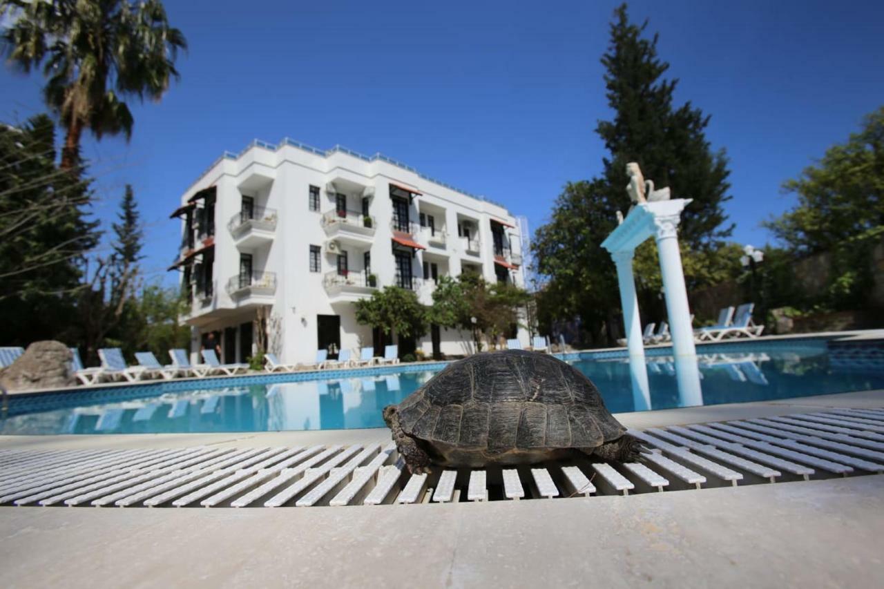 Green Valley Hotel Kemer Eksteriør bilde